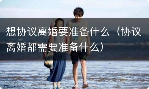 想协议离婚要准备什么（协议离婚都需要准备什么）