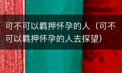 可不可以羁押怀孕的人（可不可以羁押怀孕的人去探望）