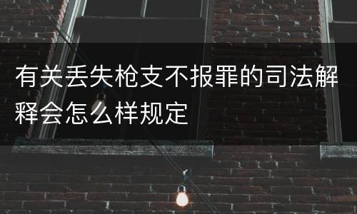 有关丢失枪支不报罪的司法解释会怎么样规定