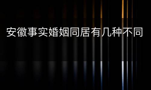 安徽事实婚姻同居有几种不同