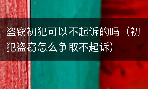 盗窃初犯可以不起诉的吗（初犯盗窃怎么争取不起诉）