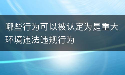 哪些行为可以被认定为是重大环境违法违规行为