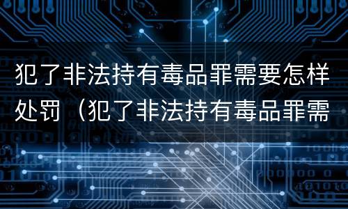 犯了非法持有毒品罪需要怎样处罚（犯了非法持有毒品罪需要怎样处罚才能缓刑）