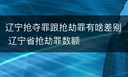 辽宁抢夺罪跟抢劫罪有啥差别 辽宁省抢劫罪数额