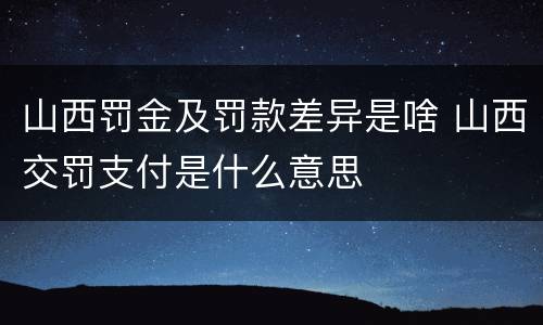 山西罚金及罚款差异是啥 山西交罚支付是什么意思