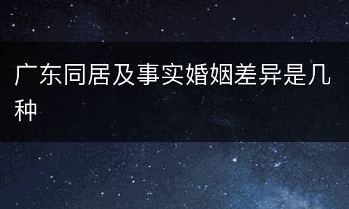 广东同居及事实婚姻差异是几种