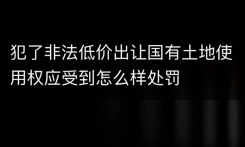 犯了非法低价出让国有土地使用权应受到怎么样处罚