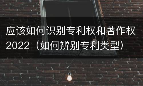 应该如何识别专利权和著作权2022（如何辨别专利类型）