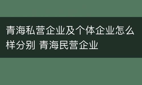 青海私营企业及个体企业怎么样分别 青海民营企业