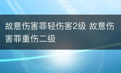 故意伤害罪轻伤害2级 故意伤害罪重伤二级