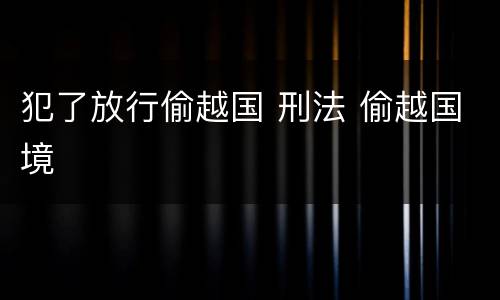 犯了放行偷越国 刑法 偷越国境