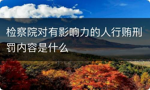 检察院对有影响力的人行贿刑罚内容是什么