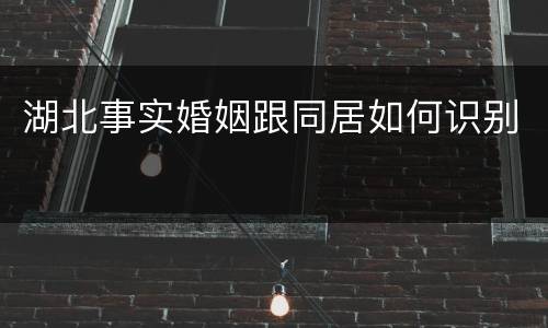 湖北事实婚姻跟同居如何识别