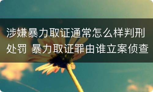 涉嫌暴力取证通常怎么样判刑处罚 暴力取证罪由谁立案侦查