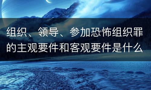 组织、领导、参加恐怖组织罪的主观要件和客观要件是什么