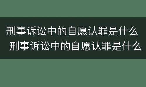 刑事诉讼中的自愿认罪是什么 刑事诉讼中的自愿认罪是什么意思