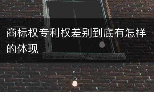 商标权专利权差别到底有怎样的体现