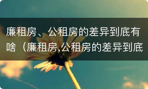 廉租房、公租房的差异到底有啥（廉租房,公租房的差异到底有啥问题）