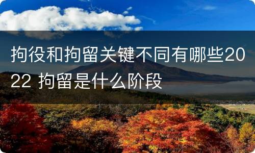 拘役和拘留关键不同有哪些2022 拘留是什么阶段