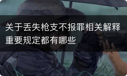 关于丢失枪支不报罪相关解释重要规定都有哪些