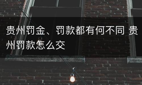 贵州罚金、罚款都有何不同 贵州罚款怎么交