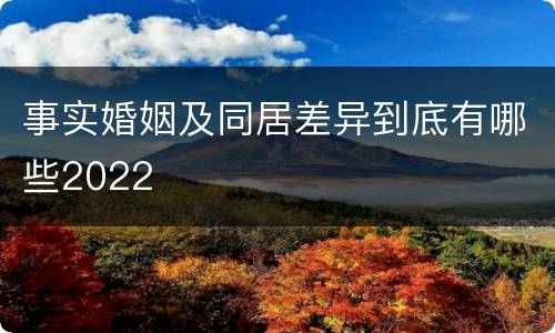 事实婚姻及同居差异到底有哪些2022