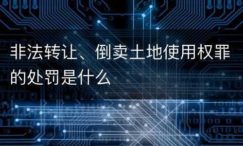 非法转让、倒卖土地使用权罪的处罚是什么