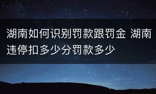 湖南如何识别罚款跟罚金 湖南违停扣多少分罚款多少