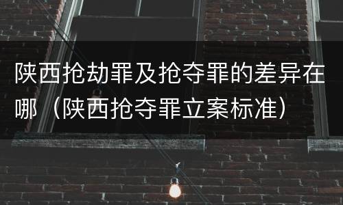 陕西抢劫罪及抢夺罪的差异在哪（陕西抢夺罪立案标准）