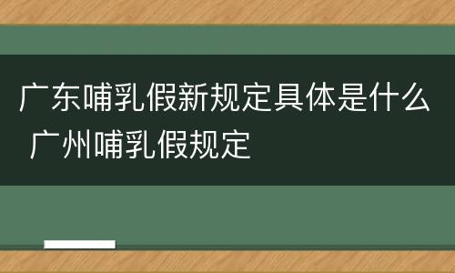 广东哺乳假新规定具体是什么 广州哺乳假规定